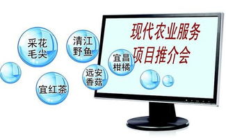 一畝田宜昌農(nóng)產(chǎn)品營(yíng)銷(xiāo)邁入互聯(lián)網(wǎng)時(shí)代 開(kāi)啟網(wǎng)絡(luò)文化經(jīng)營(yíng)新篇章