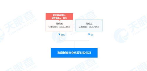 馬伊琍海南布局新賽道 文化傳媒公司成立，深耕演藝與網絡文化經營